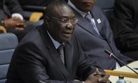 Convocado Parlamento de República Centroafricana a elegir nuevo presidente